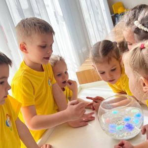 IMG 20250608 114722 946