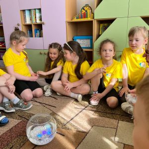 IMG 20250608 114739 334